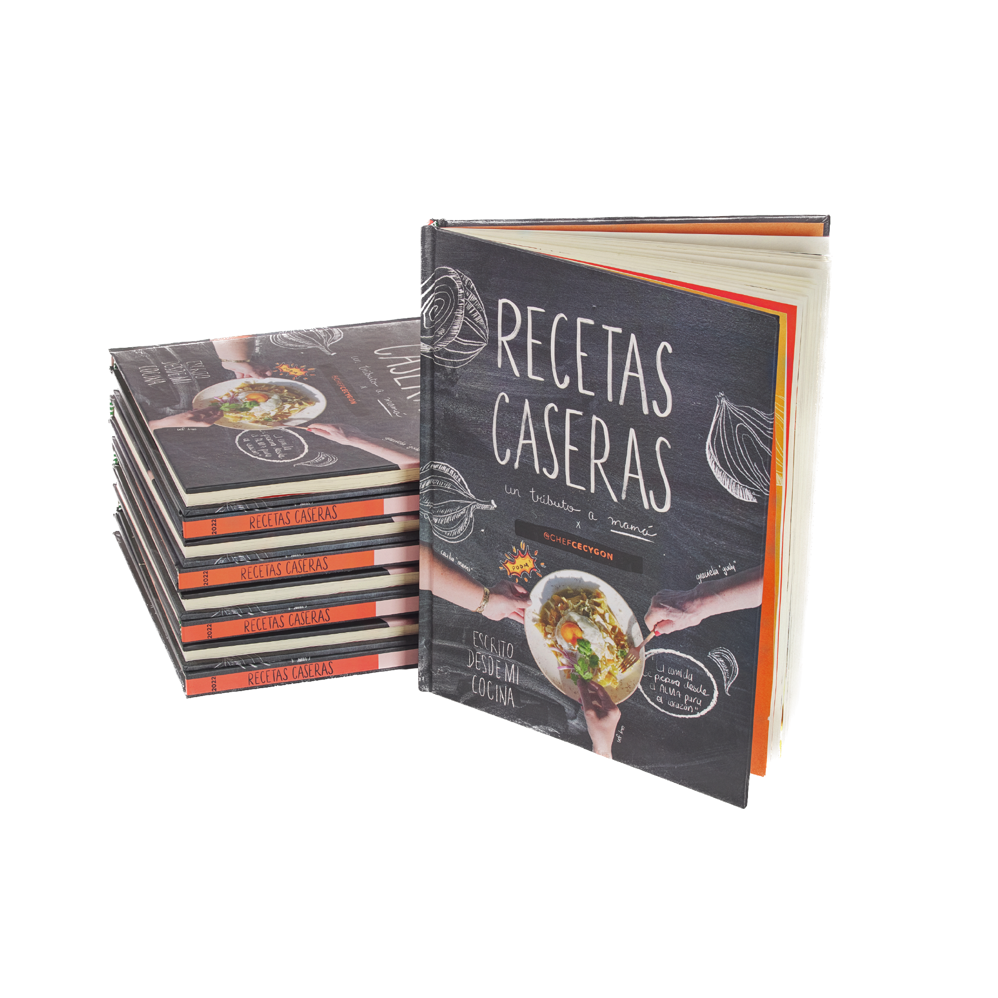 Libro Recetas Caseras un Tributo a Mamá x @ChefCecyGon – chefcecygon